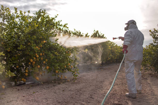 Best Local Pest Control Services  in Berwick, LA