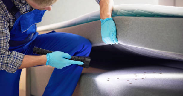 Best Exterminator Services  in Berwick, LA