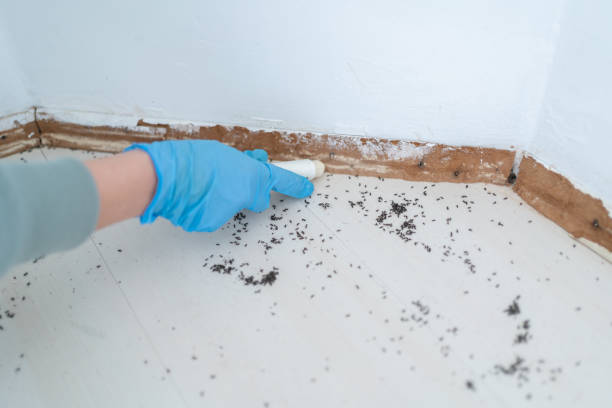 Best Affordable Pest Control Services  in Berwick, LA