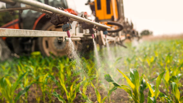 Best Wildlife Control Services  in Berwick, LA